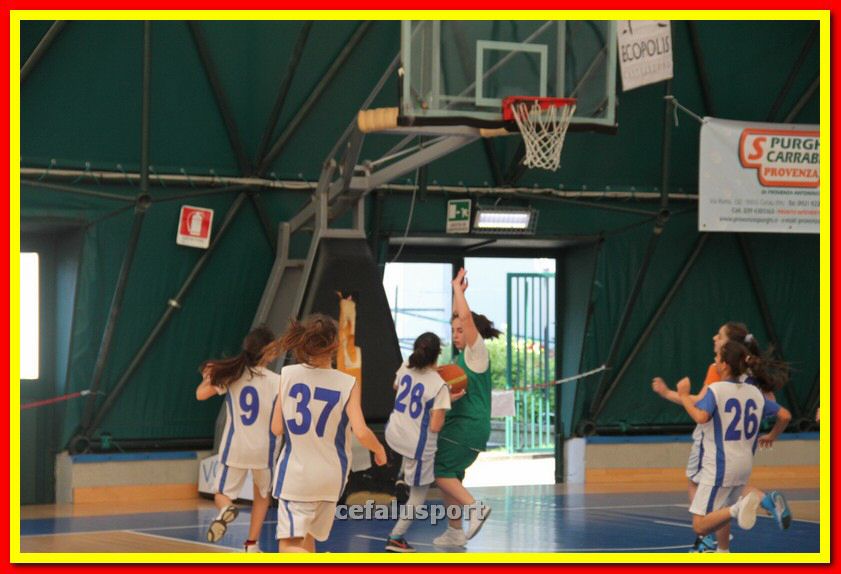 140301 GM_basket 060_tn.jpg